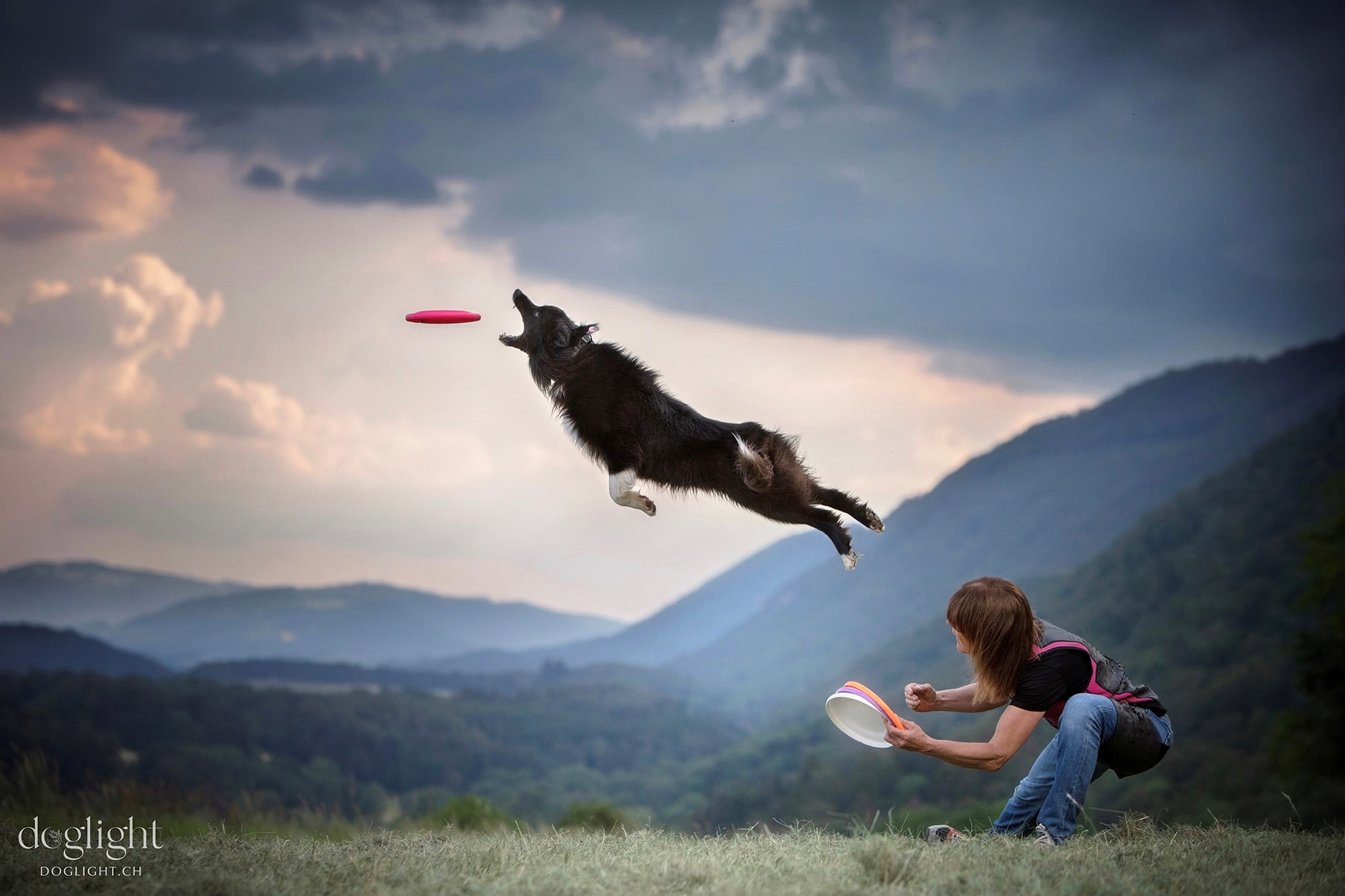 Hundefrisbee Florence und Joe