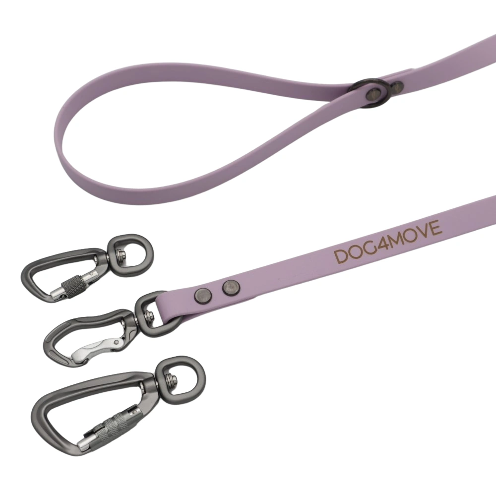 Laisse simple pour chien collection Liberty en biothane