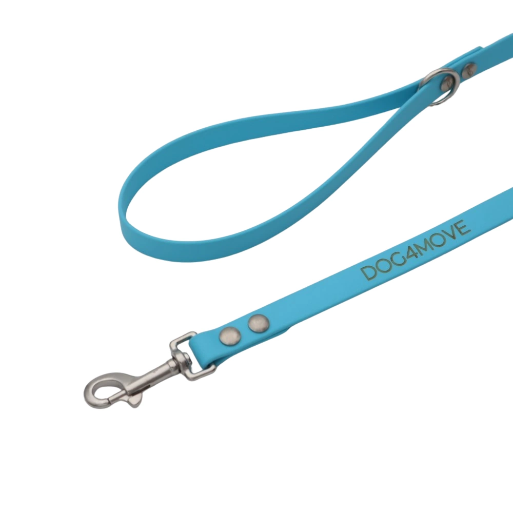 Laisse simple pour chien collection Infinity en Biothane