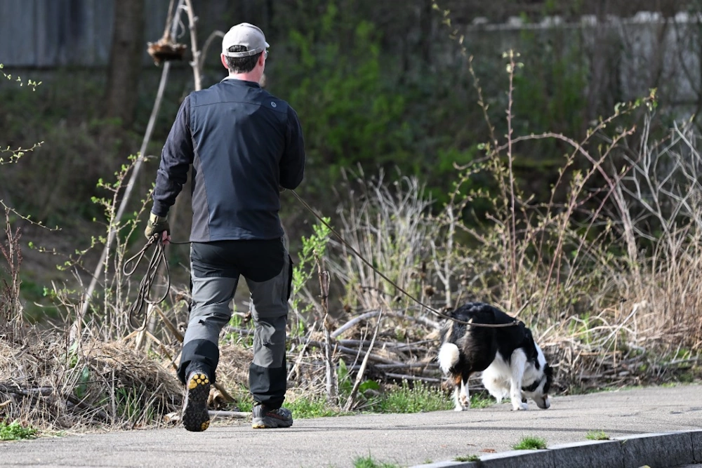 Ein Hund namens Kelly und sein Besitzer Tom beim Mantrailing. Foto: Jürg Sennhauser
