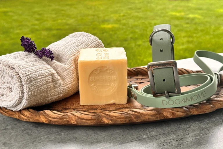 Schonende Pflege von Biothane-Ausrüstung: Grüner Halsband und Leine aus Biothane DOG4MOVE einem Tablett mit Marseiller Seife und aufgerolltem Handtuch, im Freien vor einem Rasenhintergrund.