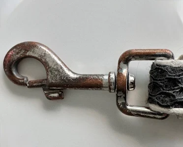 Mousqueton à tirette grippé, celui d'une laisse de chien