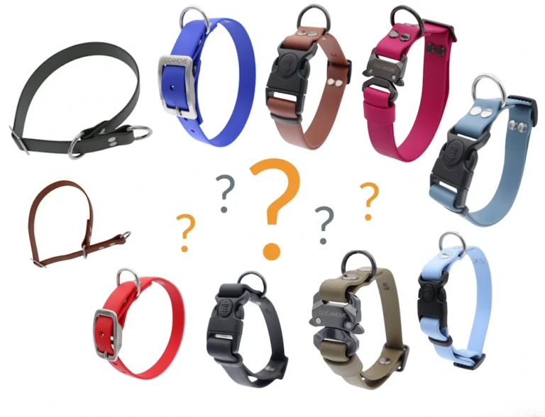 Comment choisir un collier pour son chien ?