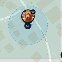 GPS-Lokalisierung Hund auf Karte